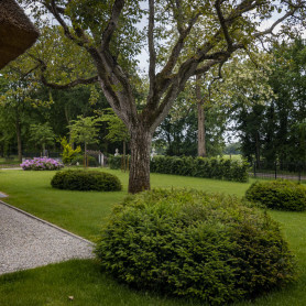 kpoudgastel-7425.jpg