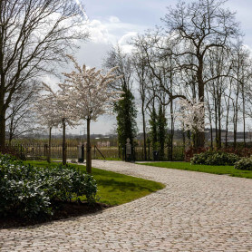kpoudgastel-3632.jpg