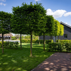 kpoudgastel-4278.jpg