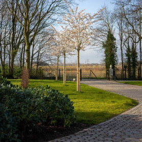 kpoudgastel-3478.jpg