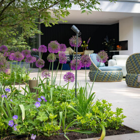villatuin-allium-3119-min.jpg